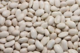 White Kidney Beans for Sale